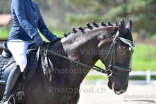 ref. photo 3089046