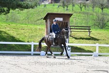 ref. photo 3089048