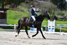 ref. photo 3089051