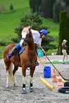 ref. photo 3089161