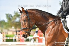 ref. photo 3089172