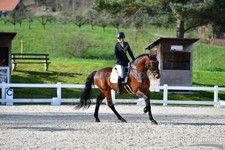 ref. photo 3089184