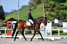 ref. photo 3089194