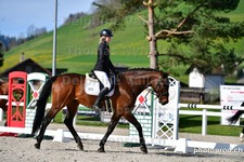 ref. photo 3089195