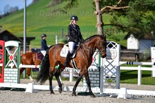 ref. photo 3089199