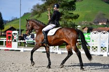 ref. photo 3089200
