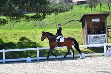 ref. photo 3089228