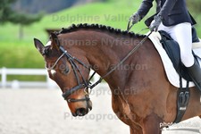 ref. photo 3089307