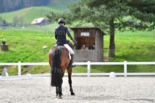 ref. photo 3089312