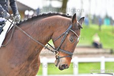 ref. photo 3089317