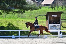 ref. photo 3089379
