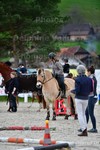 ref. photo 3089395