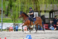 ref. photo 3089498