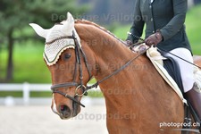 ref. photo 3089533
