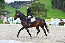 ref. photo 3089616