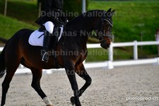 ref. photo 3089699