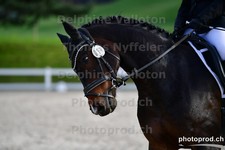 ref. photo 3089703
