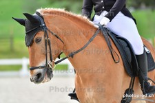 ref. photo 3089713