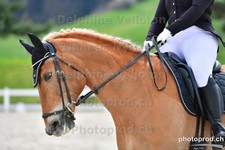 ref. photo 3089752