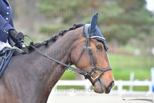 ref. photo 3089917