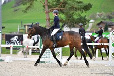 ref. photo 3089918