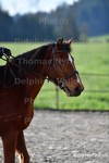 ref. photo 3089966