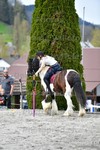 ref. photo 3089991