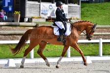 ref. photo 3090030