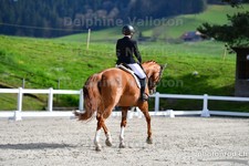 ref. photo 3090051