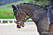 ref. photo 3090061