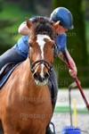 ref. photo 3090123
