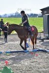 ref. photo 3090125
