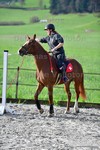 ref. photo 3090131