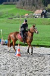 ref. photo 3090134
