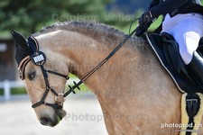 ref. photo 3090165