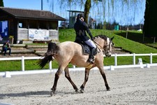 ref. photo 3090171
