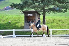 ref. photo 3090184