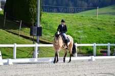 ref. photo 3090185