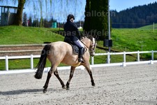 ref. photo 3090203