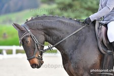 ref. photo 3090262
