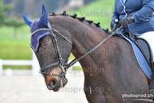 ref. photo 3090332