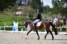 ref. photo 3090410