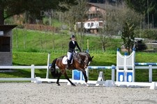 ref. photo 3090412