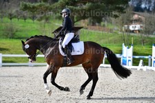 ref. photo 3090415