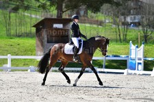 ref. photo 3090430