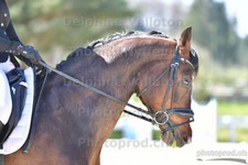 ref. photo 3090437
