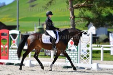 ref. photo 3090450