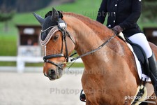 ref. photo 3090474