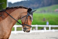 ref. photo 3090490