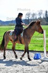 ref. photo 3090504